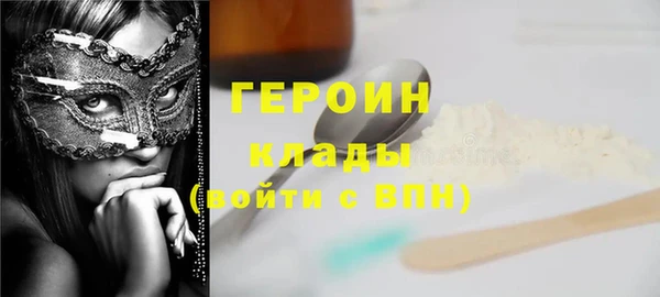 гашик Няндома