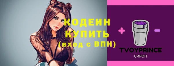 apvp Осинники
