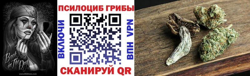 Псилоцибиновые грибы ЛСД  hydra   Владивосток 