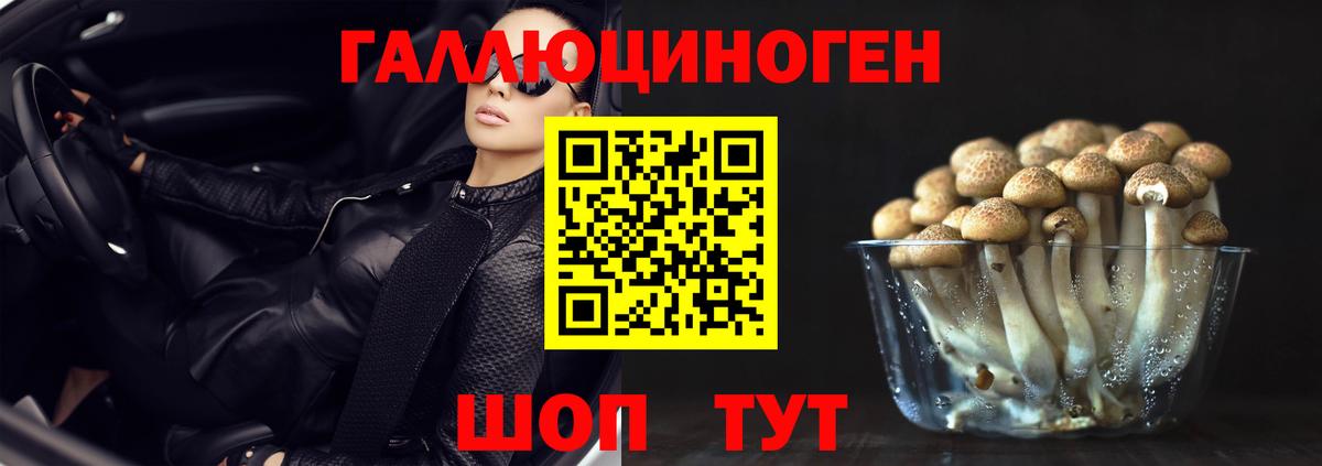 Владивосток  как найти наркотики  Псилоцибиновые грибы прущие грибы  Вход с VPN  Галлюциногенные грибы MAGIC MUSHROOMS 